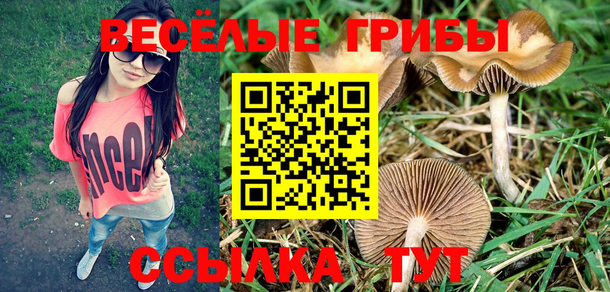 Псилоцибиновые грибы GOLDEN TEACHER Михайловка