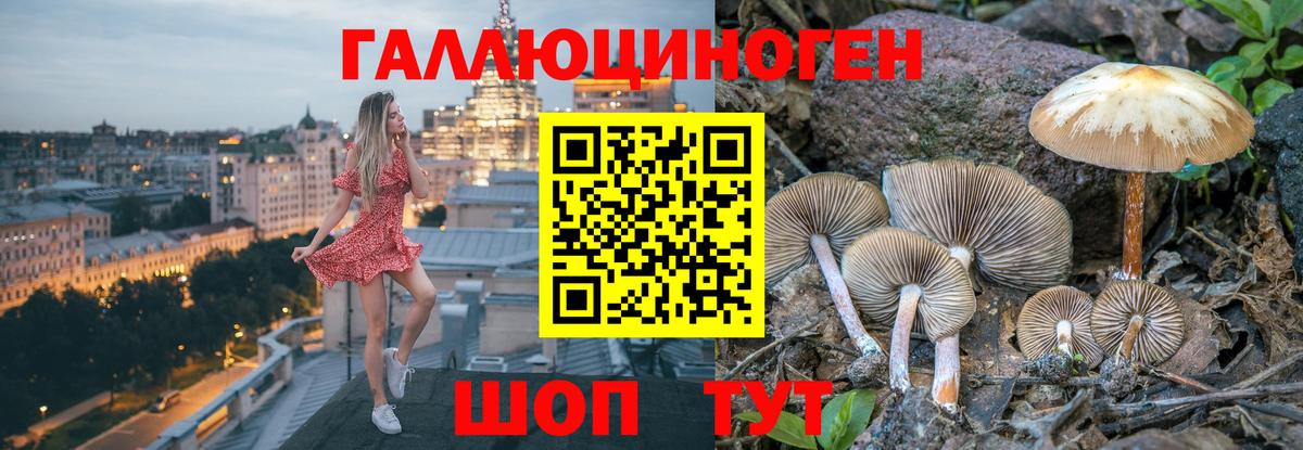 Михайловка  Псилоцибиновые грибы MAGIC MUSHROOMS  Вход с VPN  Псилоцибиновые грибы ЛСД 